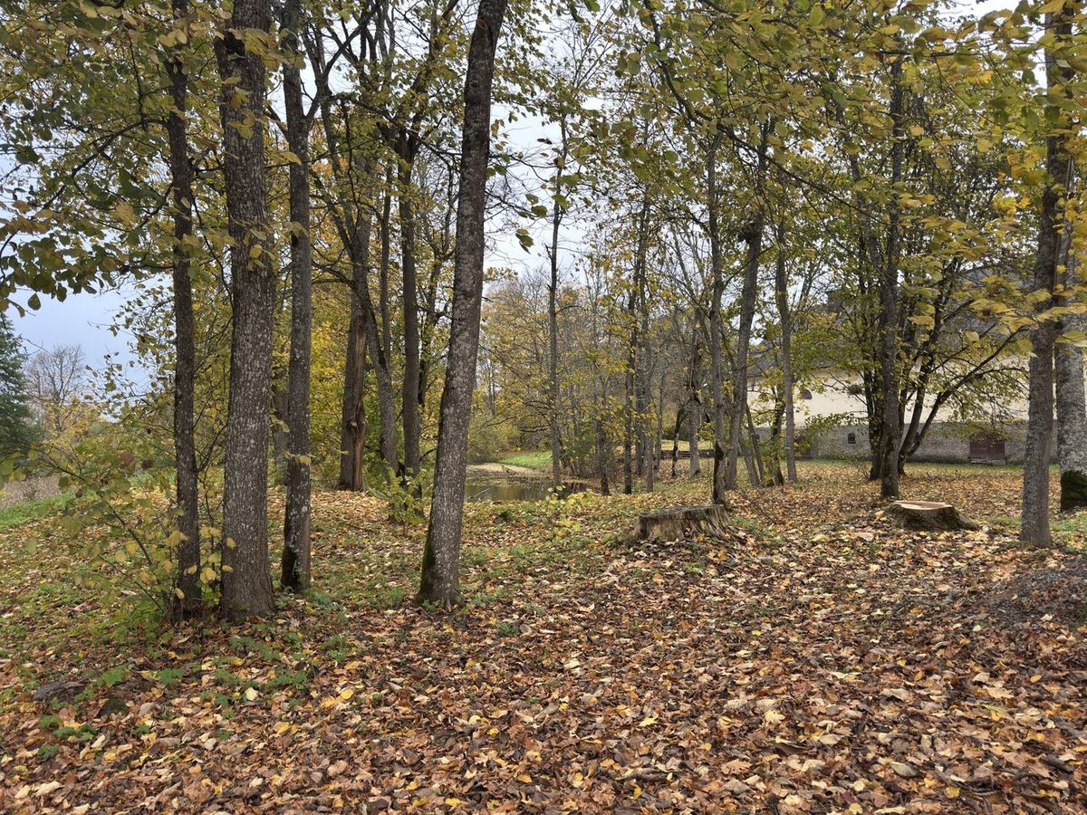 The manor park in October 2026, with one of the ponds and a surviving manor building beyond.