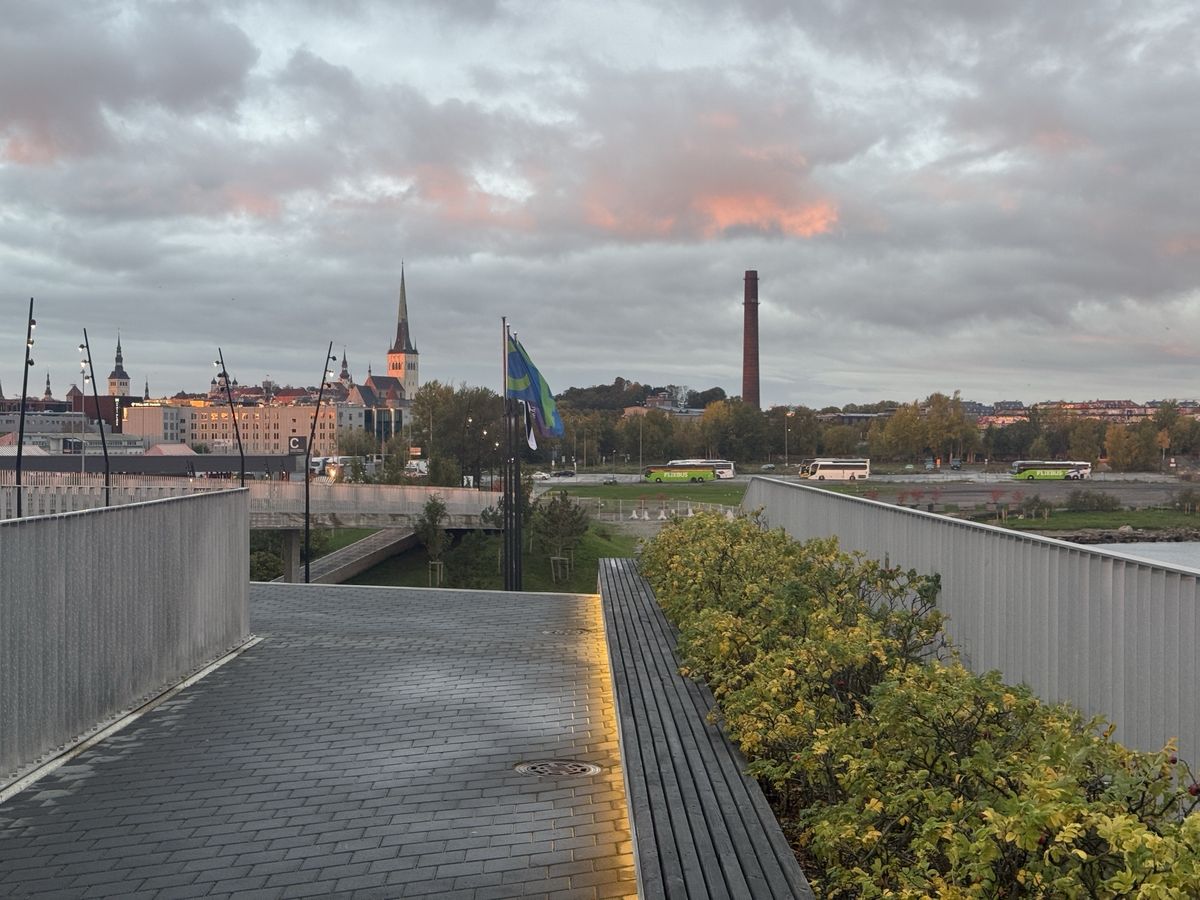 Tallinn Old Harbour: from terminal roof, Olaf left