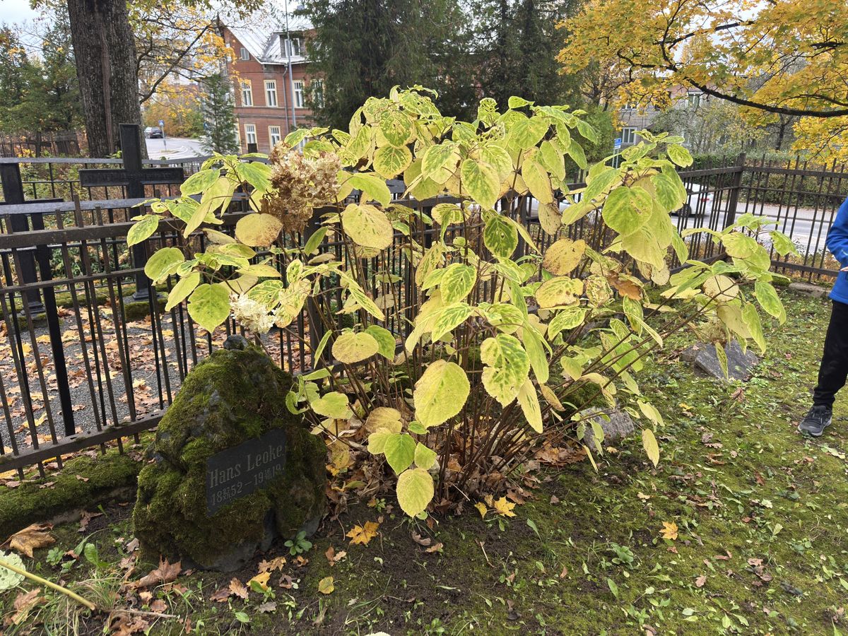Viljandi Old Cemetery: family plot 2