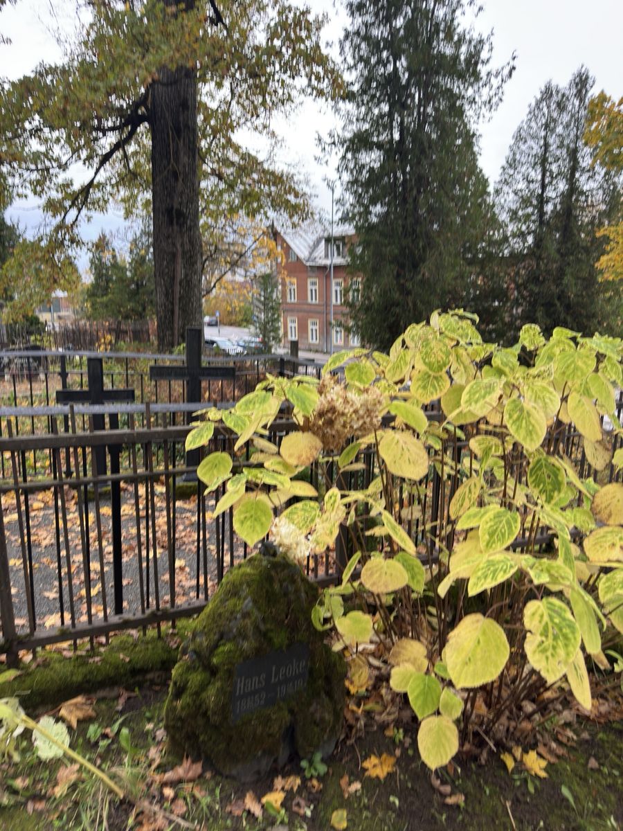 Viljandi Old Cemetery: family plot 3