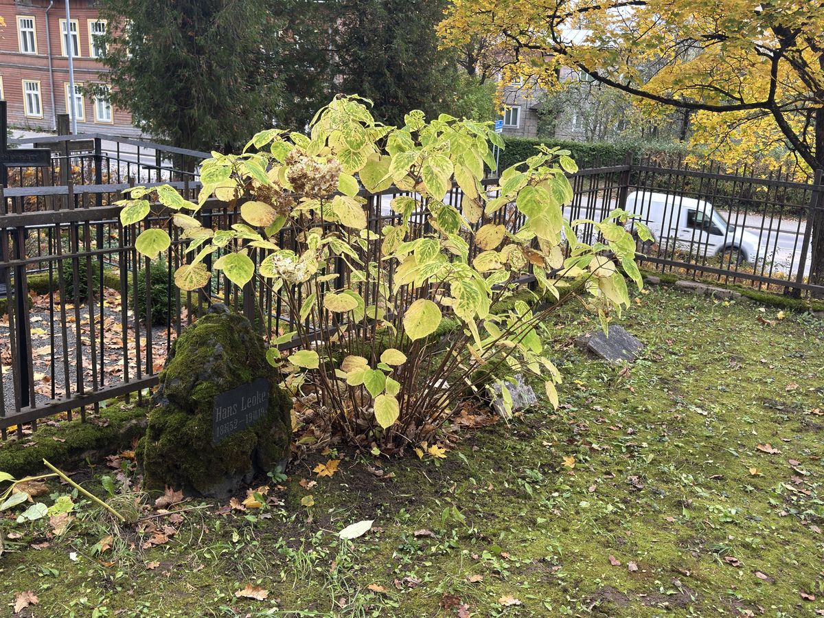 Viljandi Old Cemetery: family plot, Hans Mari Jaan