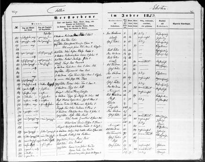 Viljandi deaths 1853 pp40r-41: No 179 Kaddri Louk, d. 22 Aug 1853 aged 35 (EAA.1290.1.67)