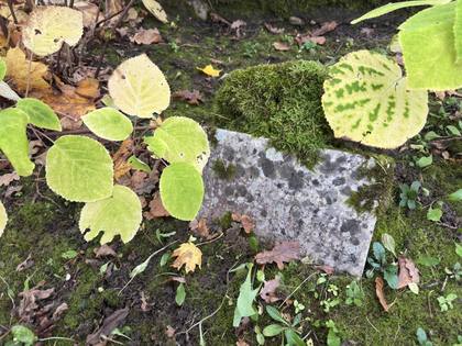 Viljandi Old Cemetery: Mari's slab (centre)